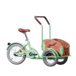 PEGAS MINI CARGO 1S VERDE FISTIC