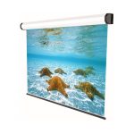 Ecran de proiectie electric, cu prindere in tavan/perete Sopar Professional,