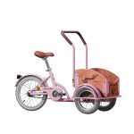 PEGAS MINI CARGO 1S ROZ BUJOR